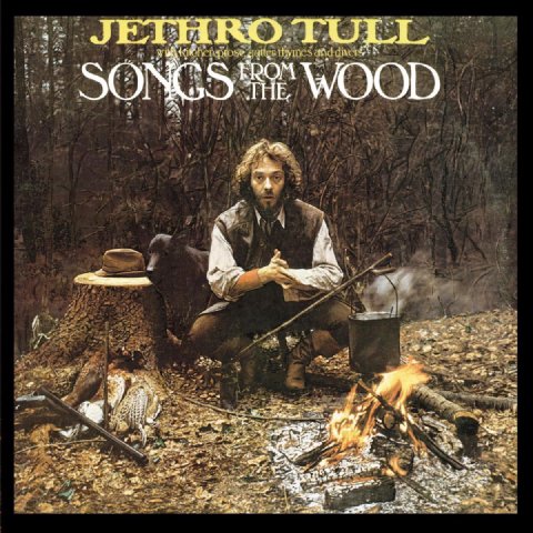 Cover for Songs from the Wood (1977)
